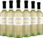 WEIN & CO Pinot Grigio 2018 6er Set - bis 29.10.2019