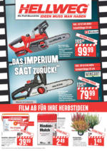 Wochenangebote