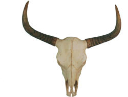 DekoschÀdel