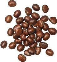 Marrons