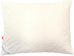 Hanf-Kopfpolster 70/90 Cm Hanf Aktiv