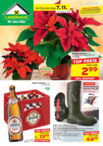 Lagerhaus Steindorf bei Straßwalchen Lagerhaus Salzburg - Flugblatt ab 7.11. - bis 16.11.2019