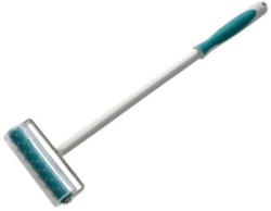 Stachelwalze