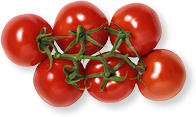 Premium Cherry-Rispentomaten