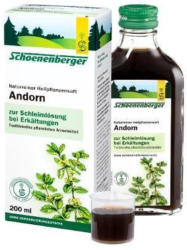 Andorn
