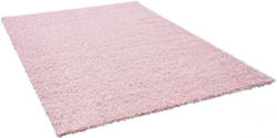 Teppich Vienna ca. 80 x 150 cm 80087/55 rose