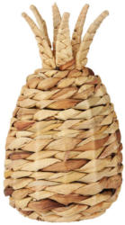 Dekofrucht Ananas in Naturfarben