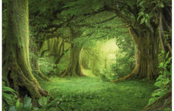 Keilrahmenbild ca. 116x76cm Wald