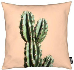 Dekokissen, »Cactus 01«, Juniqe