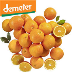 DEMETER Spanien/Italien Orangen, Kennzeichnung siehe Etikett, jedes 1-kg-Netz