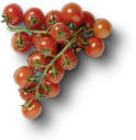 GOURMET Premium Cherry-Rispentomaten