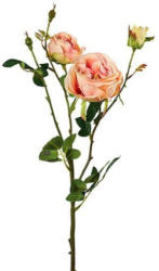 Rose Elke Hellrosa