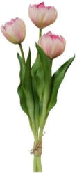 Tulpe Kathi Rosa