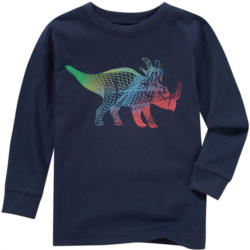 Jungen Langarmshirt mit Dino-Print