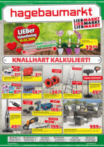 Hagebau Lieb Markt Flugblatt - gültig bis 29.2.