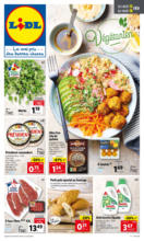 Heures D Ouverture Pour Lidl Route D Espagne 09000 Foix Offerista