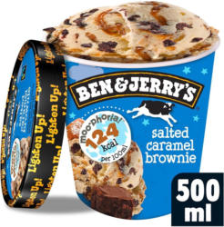 Ben & Jerry's Moo-Phoria Salted Caramel Brownie