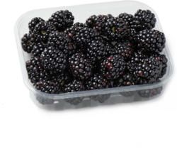 Brombeeren