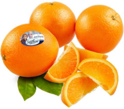 SanLucar Orangen gelegt aus Südafrika