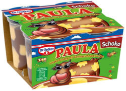 Dr. Oetker Paula Schoko Pudding mit Vanilleflecken