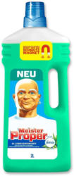 Meister Proper Frühlingserwachen