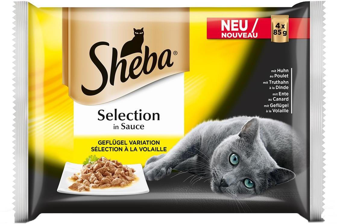 Sheba Im Angebot Sheba Im Angebot