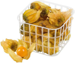Physalis Becher aus Kolumbien