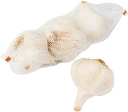 Knoblauch