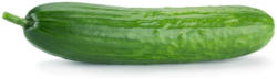 Gurke aus Spanien