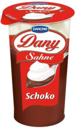 Danone Dany Sahne Schoko