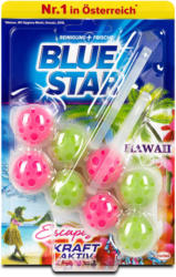 Blue Star Kraft-Aktiv WC-Reiniger Hawaii Escapes