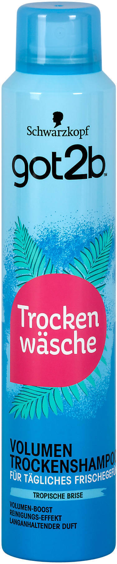 got2b trockenwäsche Trockenshampoo volumen ️ Online von dm - wogibtswas.at
