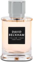David Beckham Follow Your Instinct Eau de Toilette, 50 ml