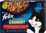 dm felix Sensations Crunchy Katzenfutter Geschmacksvielfalt vom Land