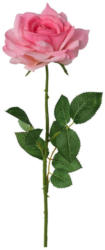 Rose Barbara Rose