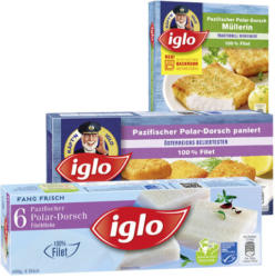 Iglo Polar-Dorsch*