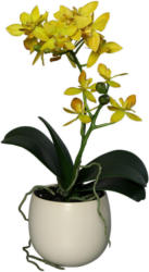 Kunstblume