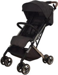 Buggy S-Easy-Fold