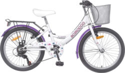 Flamingo 20