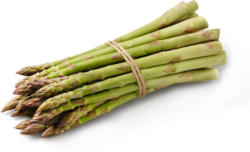 Spargel Grün