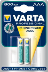 Batterie Micro AAA 800mAh NiMH 2er Pack