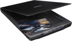 Flachbettscanner Perfection V39 (B11B232401)