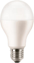 LED Leuchtmittel ILE-4004-1