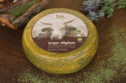 Uriger Allgäuer