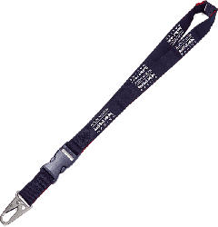 Red Bull Aston Martin Red Bull Racing Insignia 18 Lanyard