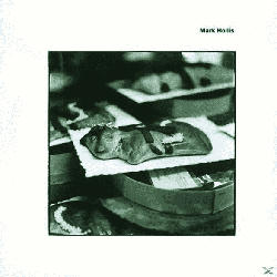 MARK HOLLIS