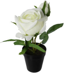 Rose Erin Weiss