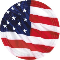 Teller USA 8 Stück Ø 17,7 cm
