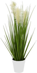 Dekogras