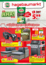 hagebaumarkt Niederer Hagebaumarkt Niederer - gültig bis 21.3. - bis 21.03.2020
